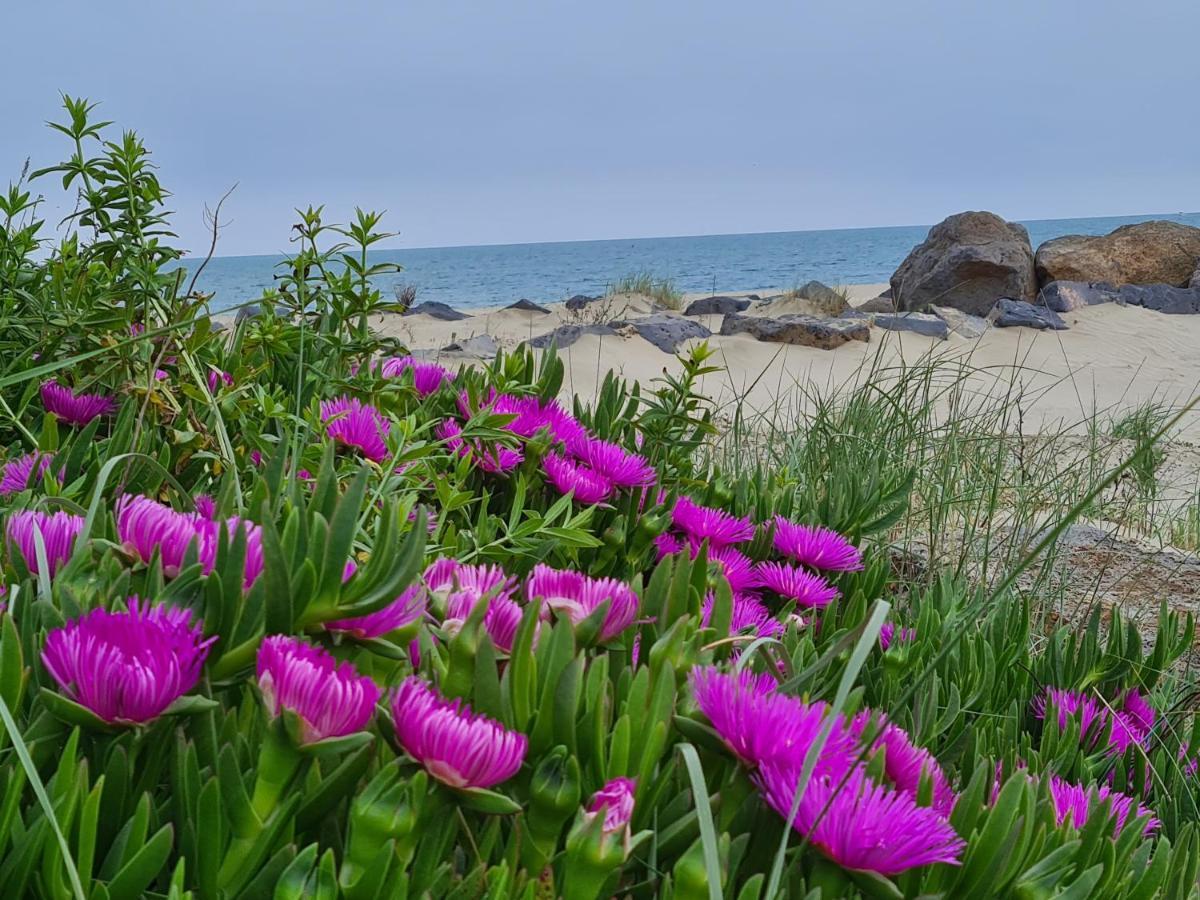 Camping Les Sables D'Or Cap D'Agde Le Grau-dʼAgde Εξωτερικό φωτογραφία